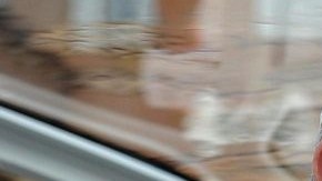 El máximo jerarca católico arremetió contra las personas que acostumbran a difundir chismes.