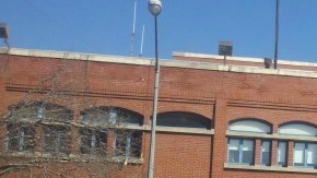 En lo que va de 2014, los asaltos agravados han aumentado en un 234.43% en el cuartel 41 debido a los crímenes en Rikers.