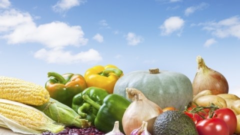 La comida latina se caracteriza por su color y sus especias.