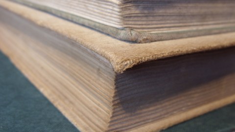Y quien no aprende nunca a leer, quien no se vuelve desde temprano un vicioso de los libros, no sabe de lo que se pierde.