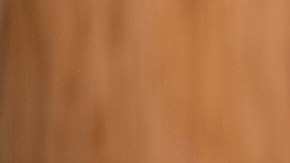 Marco Rubio se está transformando en uno de los rostros de la resistencia contra Maduro en Estados Unidos