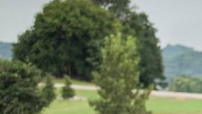 El culpable es un pequeño interruptor automático.