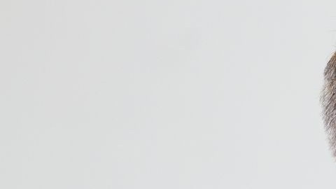 El alcalde Bill de Blasio dijo el viernes que nueve escuelas charter no cohabitarán con planteles públicos.