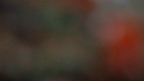 Miguel Herrera, técnico de la selección mexicana, durante el partido amistoso ante Nigeria