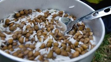 El arroz y las lentejas contienen proteínas distintas, por lo que si se juntan, el alimento es mucho más nutritivo.