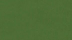 El canadiense Milos Raonic.