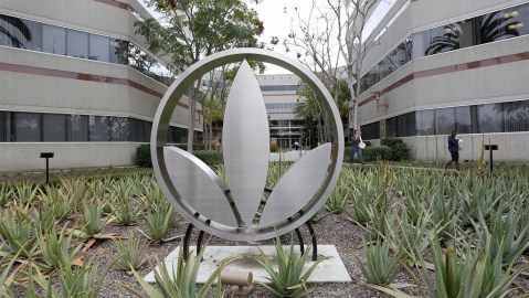 Las cotización de Herbalife en Bolsa fue detenida antes de que se hiciera pública la investigación por parte de la FTC.