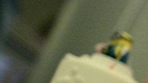 Florida no reconoce los matrimonios gay contraídos fuera del estado.