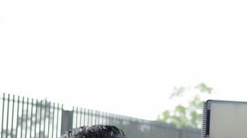 IM_20140316_DEPORTES0901_140319400