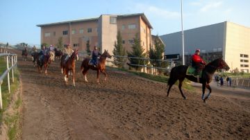 Alrededor de 1,400 equinos se entrenan al año en las caballerizas del recinto de la capital mexicana.