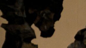 El Sumo Pontífice cumplió un año al frente de la Santa Sede