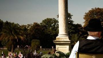 Es importante saber distinguir las alergias.