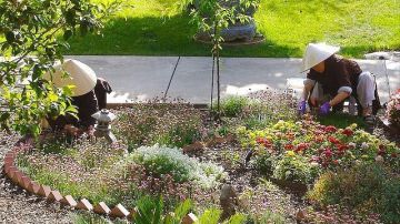 En el jardín, es preciso cuidar los movimientos y trabajar con protector solar.