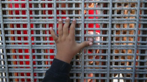 La niña fue rescatada cuando llegó a la frontera con un “pollero” que intentaba ingresarla de manera ilegal a EEUU.