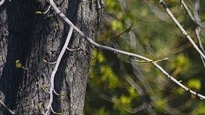 Las autoridades tratan de rescatar a varias personas que siguen atrapadas tras el corrimiento de tierra.