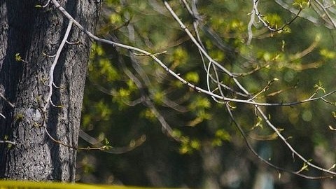 Las autoridades tratan de rescatar a varias personas que siguen atrapadas tras el corrimiento de tierra.