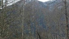 Las autoridades también ordenaron la evacuación de los residentes cerca del río Stillaguamish, ya que la tierra bloqueaba el curso fluvial y podría provocar inundaciones.