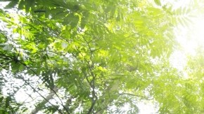 El planeta es nuestro hogar y  protegerlo es tarea de todos.