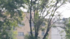 Aquivaldo Mosquera controla el balón durante la práctica de ayer de las Águilas que el domingo visitan a Chivas.