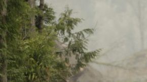 Rescatistas participan en la búsqueda de víctimas en el deslizamiento ocurrido el 22 de marzo cerca a Oso, Washington.