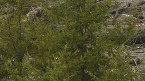 Desde el 22 de marzo, cientos de trabajadores se han mantenido en la zona de la tragedia.