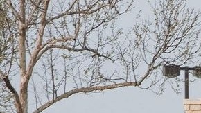 El tiroteo de este miércoles en la base naval Fort Hood, en Texas, remitió a la masacre reportada en la estructura militar en 2009.