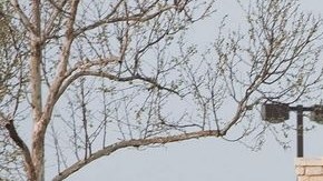 El tiroteo de este miércoles en la base naval Fort Hood, en Texas, remitió a la masacre reportada en la estructura militar en 2009.