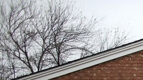 Cruces cerca de una iglesia, en memoria de las víctimas de un tiroteo en Fort Hood en el 2014.