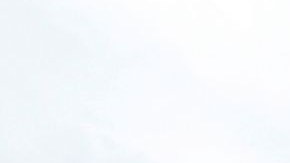 El Senado presentará un proyecto para restablecer beneficios de desempleo para más de dos millones de personas.