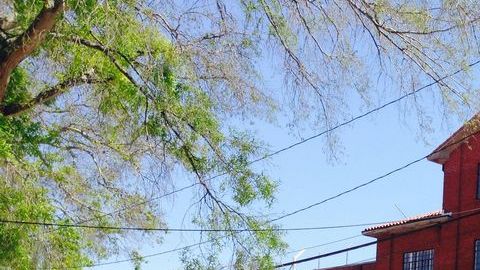 Unidad de las Paredes en la Prisión de Huntsville,en Texas, donde se ejecutará al mexicano Ramiro Hernández Llanas.