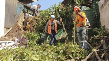 trabajadores municipales  levantan ramas de un árbol derribado por los fuertes vientos en Mejicanos, ubicado a unos tres kilometros al norte de San Salvador.