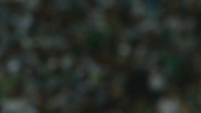 Santos Laguna enfrentará este martes el partido de ida de los octavos de final de la Copa Libertadores