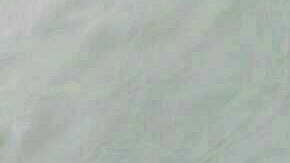 Hasta el momento las autoridades reportan casi 300 desaparecidos.