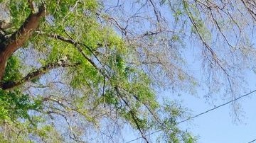 Unidad de las Paredes en la Prisión de Huntsville, en Texas, donde se realizan las ejecuciones..