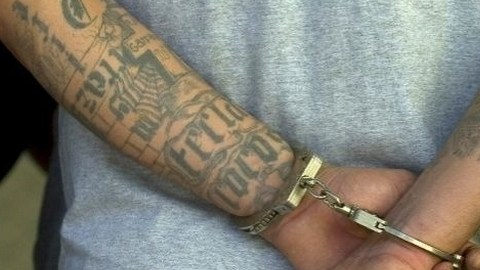 Hasta el momento hay 34 arrestados que supuestamente pertenecen a dos pandillas rivales de El Bronx.