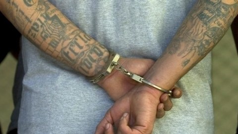 Hasta el momento hay 34 arrestados que supuestamente pertenecen a dos pandillas rivales de El Bronx.