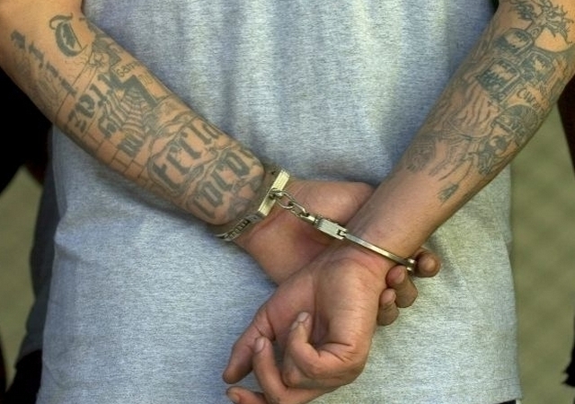 Hasta el momento hay 34 arrestados que supuestamente pertenecen a dos pandillas rivales de El Bronx.