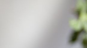 La legalización del enervante ha atraído turismo al estado.