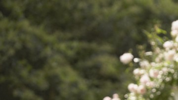 ¿Cómo es el traje de bodas de tus sueños?