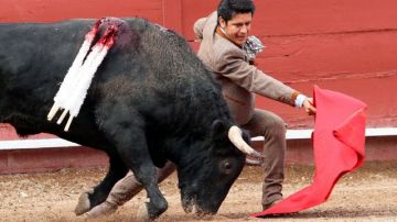 El matador, Uriel Moreno "El Zapata", durante la corrida de toros “Ponciana”, en el marco del 35 aniversario de la Monumental Plaza de Toros Vicente Segura de Pachuca.
