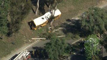 Según reporteó CBS LA, el bus se salió del camino y bajó por una ladera inclinada, donde impactó contra un árbol que evitó que siguiera cayendo.