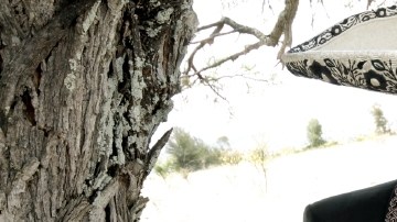 En la exposición se podrá ver todo tipo de artículos de su vida y de su trayectoria musical.