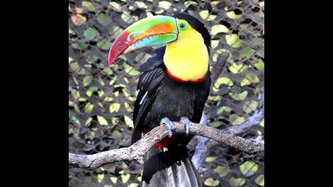 Los Ángeles Zoo and Botanical Gardens, se encuentra localizado en 5333 Zoo Drive, LA.