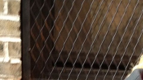 Migdalia Morales sigue culpando al Departamento de Servicios para Desamparados por la muerte de su hijo.