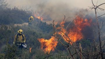 Vientos de unas 60 millas por hora, altas temperaturas y vegetación seca aumentan las probabilidades de incendios forestales en una región de California en la que las autoridades emitieron una alerta de bandera roja.