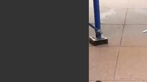 Robinson admitió haber pateado al gato y subido el video a su perfil de Facebook.