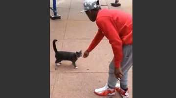 Andrew Robinson publicó en Facebook un video en el que aparece agrediendo al gato.