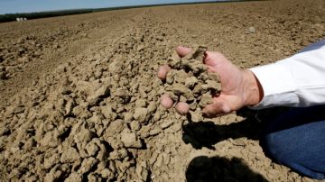Joe del Bosque recoge un puñado de tierra de sus campos afectados por la sequía.
