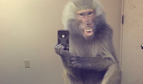 Para conocer más sobre este proyecto, puedes visitar la cuenta de diomedia en Instagram.