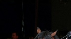 El hermano de Joan Sebastian se presentará en breve a declarar en la fiscalía estatal de Morelos.